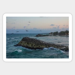 Tulum Mexico Pelicans flying over Tulum beach at sunset MX Sticker